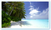 Caribbean Beaches