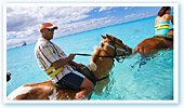 Half Moon Cay Horse Swim Ride