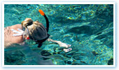 Snorkel