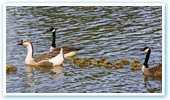 Rocklands Bird Sanctuary
