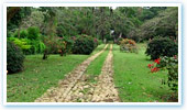 18th Century Plantation
