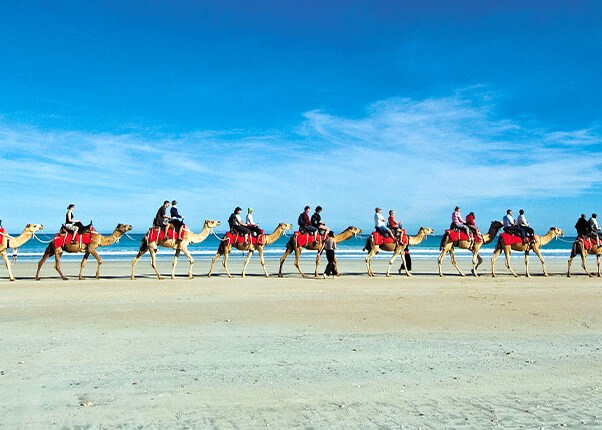 Camel Ride on Cable Beach in Broome, Australia