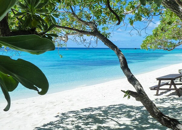 Beachside in the Conflict Islands, Papua New Guinea