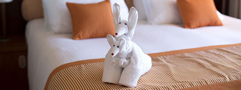 towel animal on the bed in a stateroom