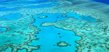 Cruise to Australia.