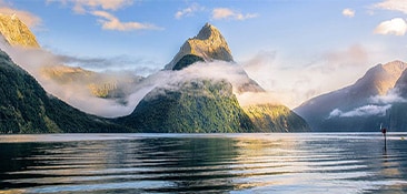 Cruise to New Zealand.