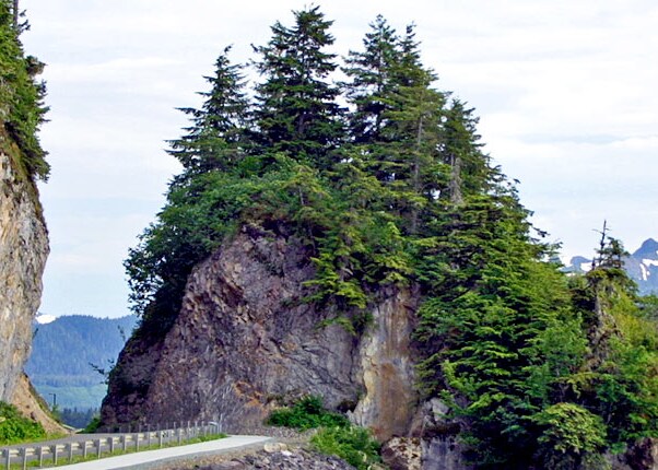 Hiking trail in Icy Strait Point, Alaska