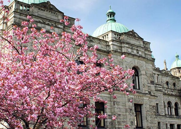 explore the parliament buildings in victoria, bc