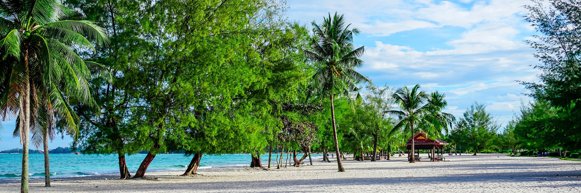 view of the beach and trees in sihanoukville cambodia