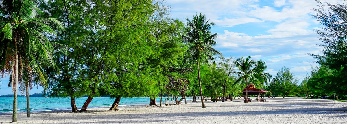 view of the beach and trees in sihanoukville cambodia
