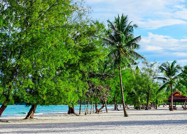 view of the beach and trees in sihanoukville cambodia