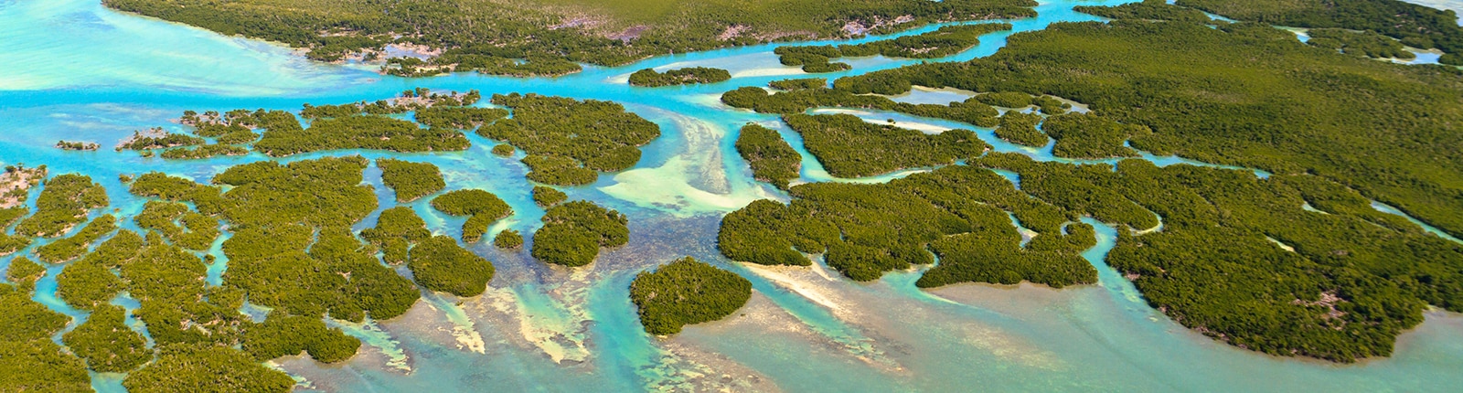 Beautiful aerial shot of the mangroves of Key West