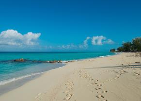 the sandy shores of bimini and the crystal blue ocean