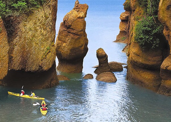 take a kayak tour of the famous hopewell rocks