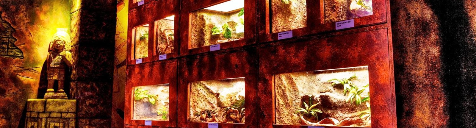 A wildlife exhibit in Curacao