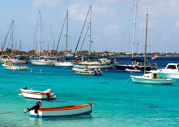 sail boats docked in bonaire