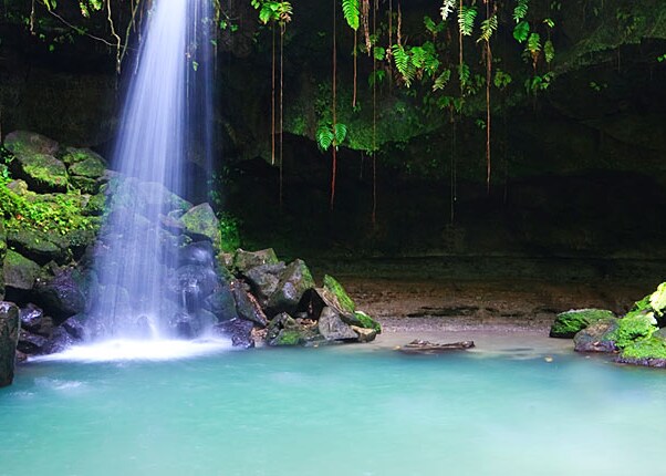 waterfall in the tropical forests of dominica