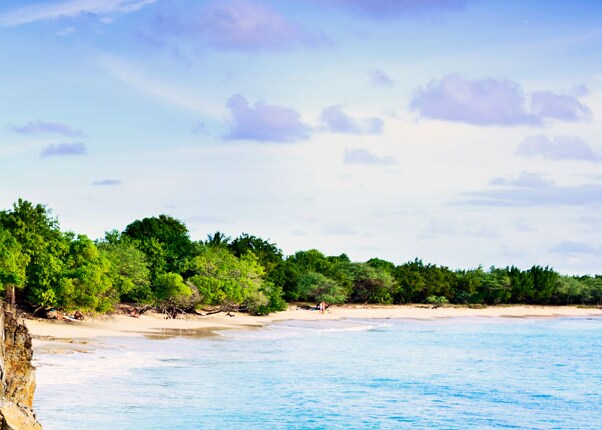 gaze at the rocky coastline of martinque