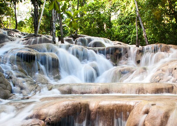 visit the famous dunns river falls
