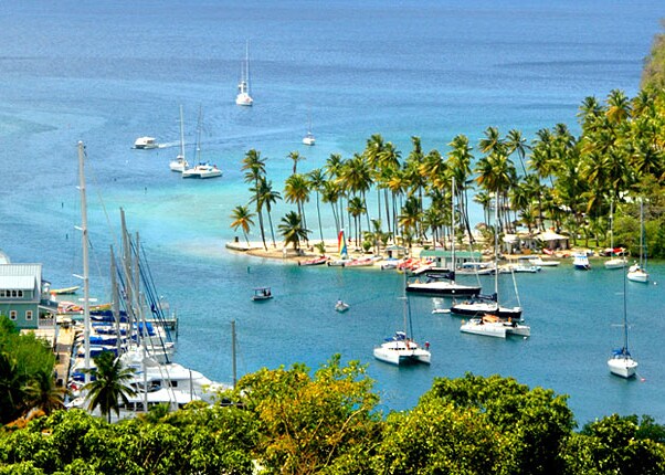 catamaran in the bay of st. lucia