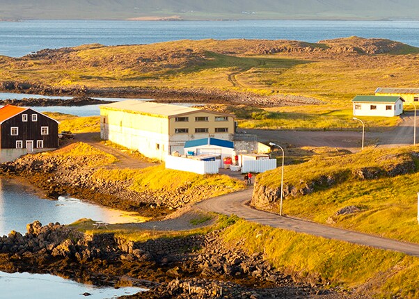 view of small village and fishery in djupivogur, iceland