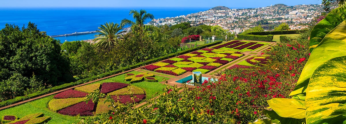 botanical gardens in funchal, madeira, portugal