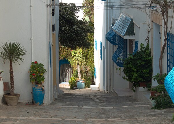 white and blue alley of La Goulette 