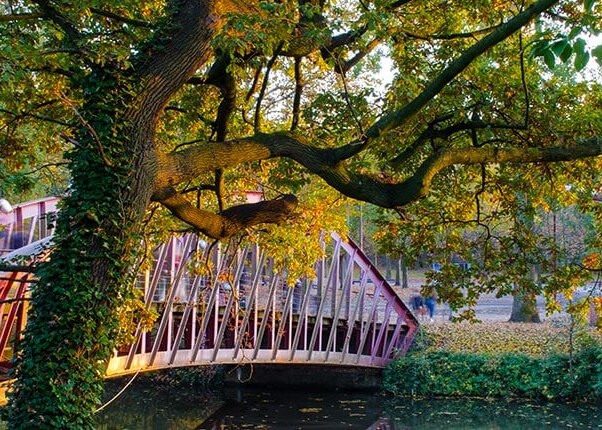 bridge over canal with beautiful trees in brussels