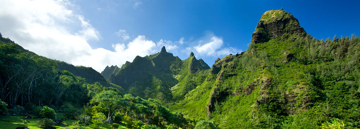 journey to the beautiful limahuli gardens in kauai