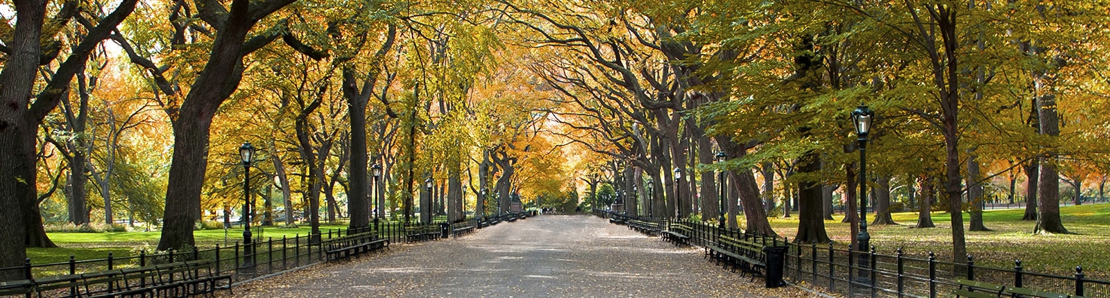 Take a relaxing walk through Central Park