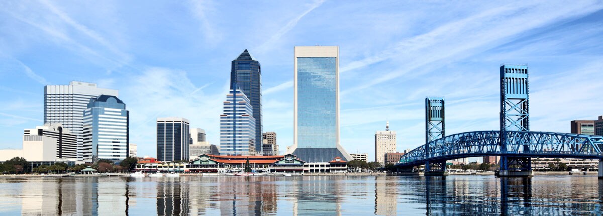 scenic view of the jacksonville skyline