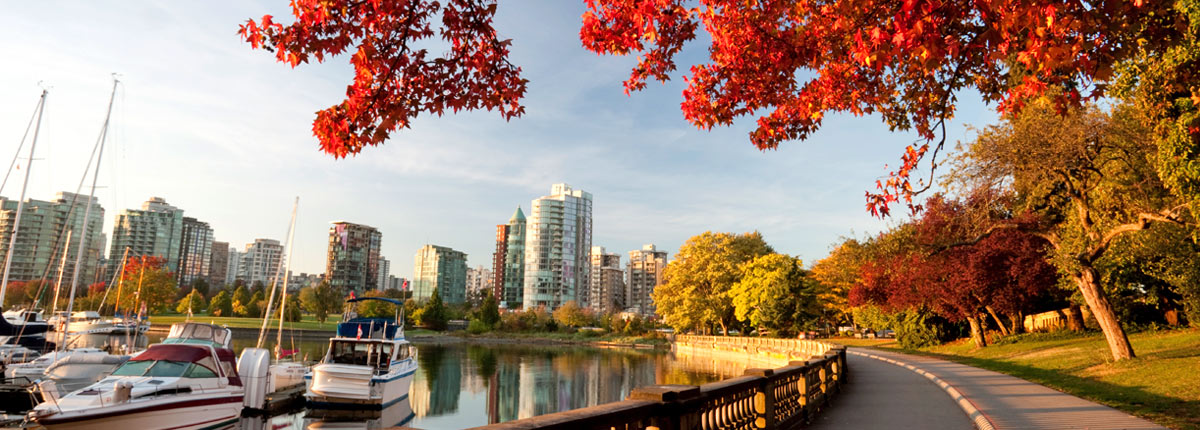 take a walk through stanley park in vancouver