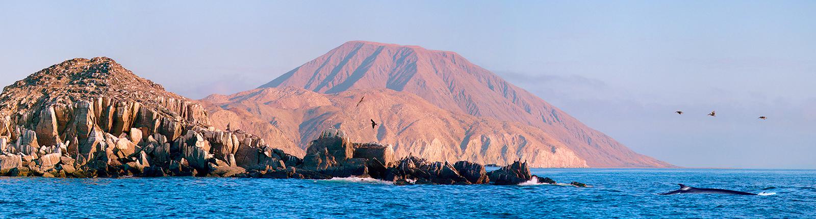 3-Day Baja Mexico from Long Beach (Los Angeles), CA