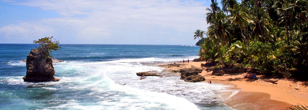 scenic shot of the caribbean coast at manzanillo