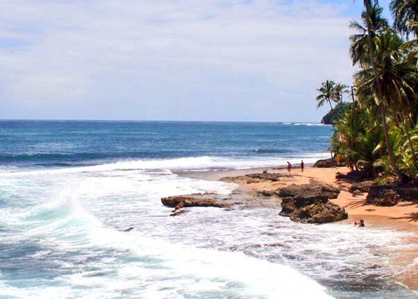 scenic shot of the caribbean coast at manzanillo