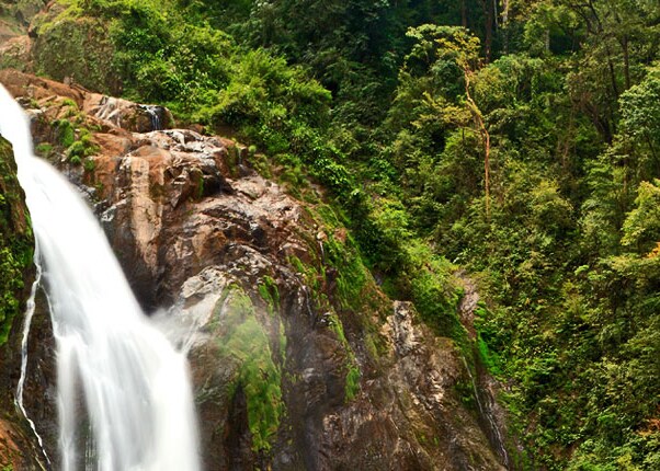 waterfall in a costa rican rainforest