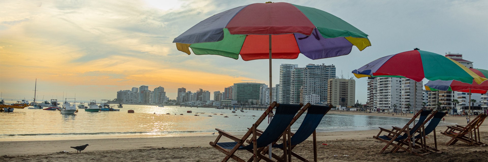 view of a beach with umbrellas and sun loungers