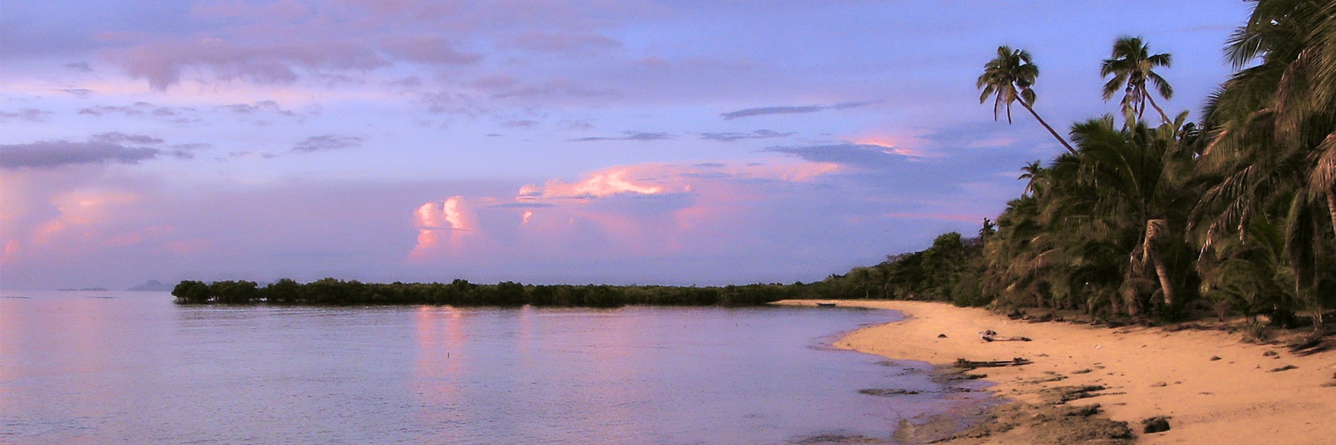 view of the beach and palm trees in lautoka fiji