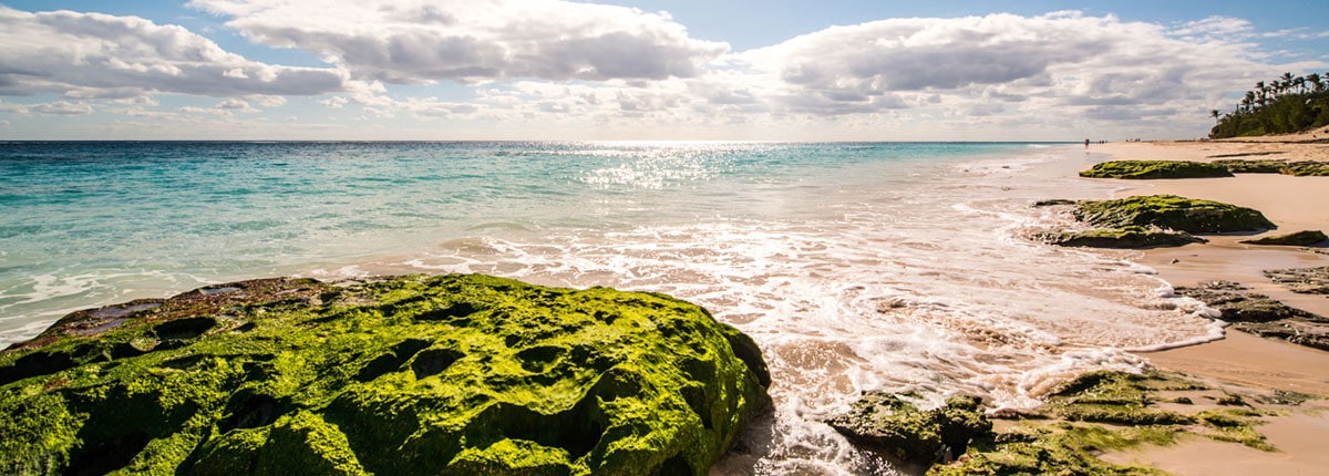 enjoy the beautiful landscape of bermuda idyllic beach