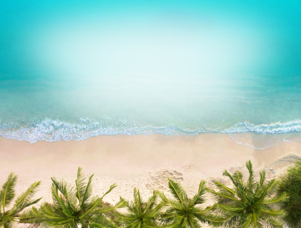 the ocean brushes up on the beach