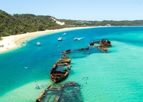 Explore the Tangalooma Wrecks in Moreton Island, Australia.