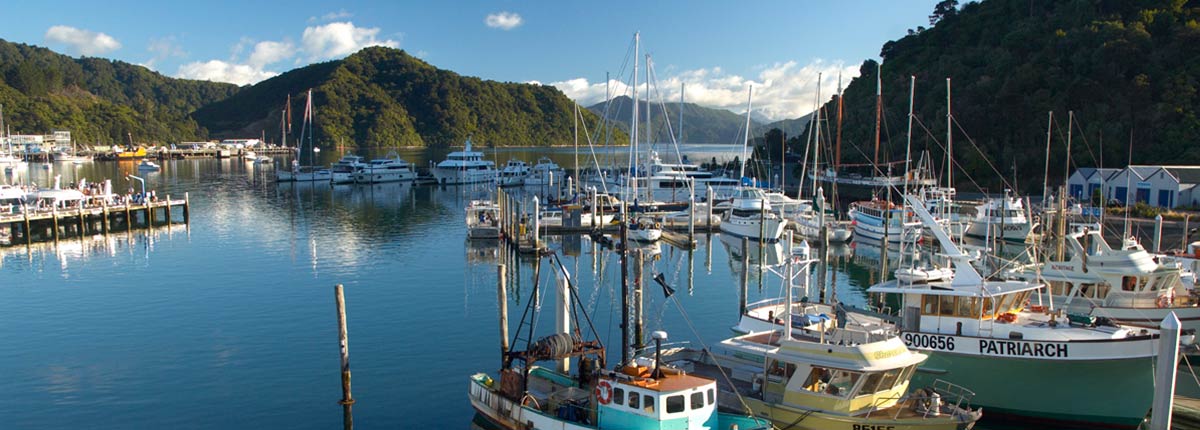 Harbour of Picton, New Zealand