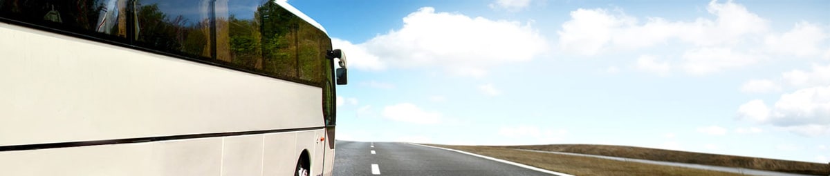 cruise transfer rides with carnival cruise line