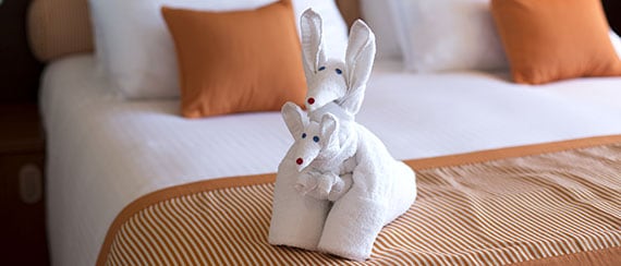  Staterooms - towel animal on the bed in a stateroom