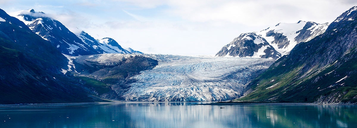 cruise through the tranquil waters of glacier bay
