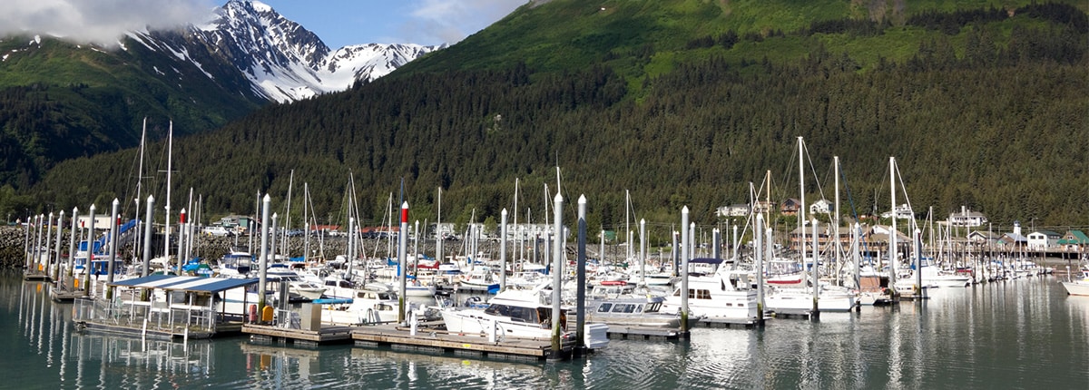 several fishing and sail boats docked at the marina