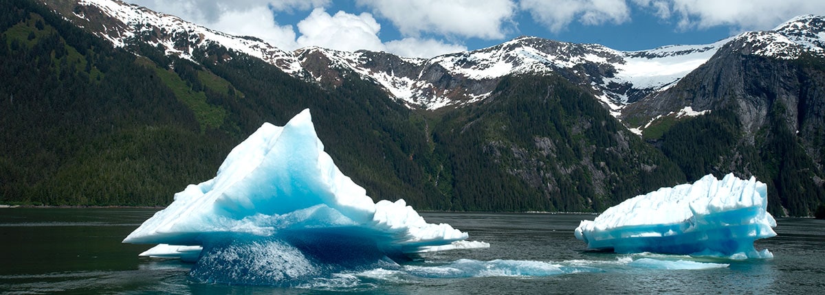 take in the breathtaking glaciers of tracy arm fjord