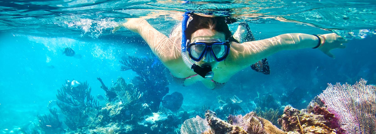 girl snorkeling during the bermuda snorkel adventure