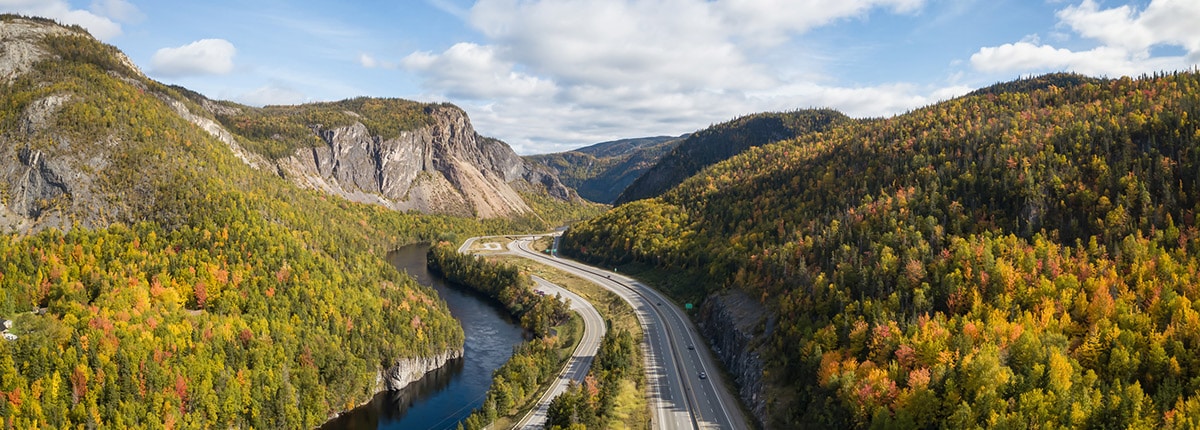  view of a scenic road during a vibrant sunny day near corner brook, newfoundland