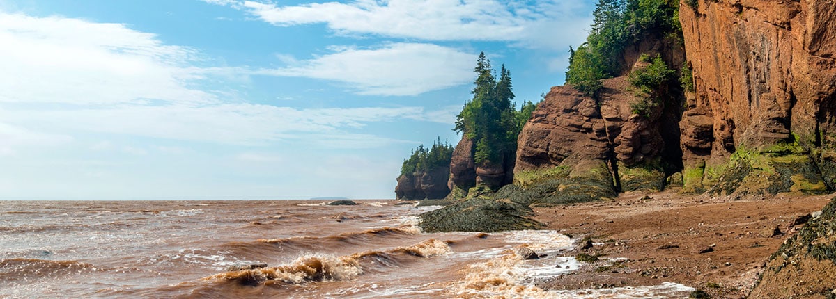 journey to the bay of fundy in saint john